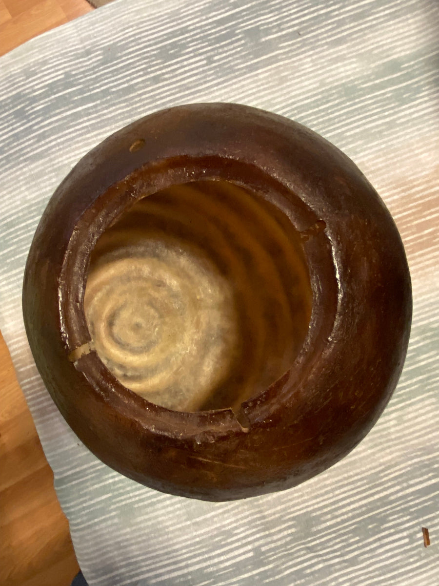 Applique in resina a forma di conchiglia marrone