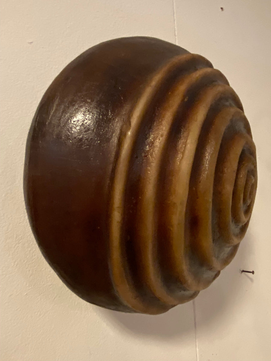 Applique in resina a forma di conchiglia marrone