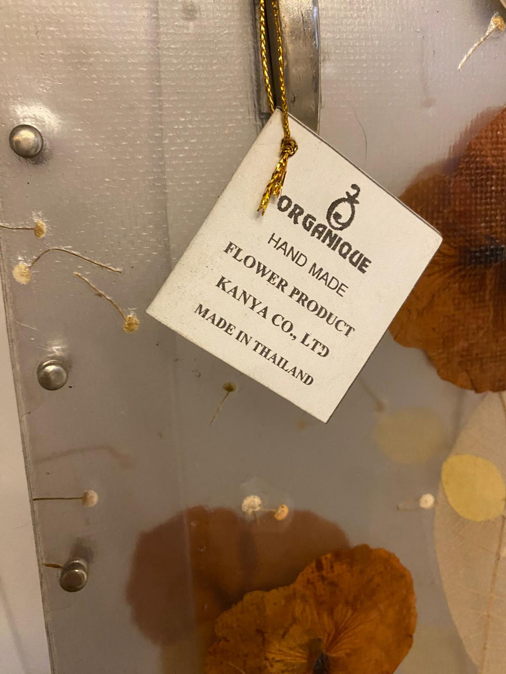 borsa-plastica-design