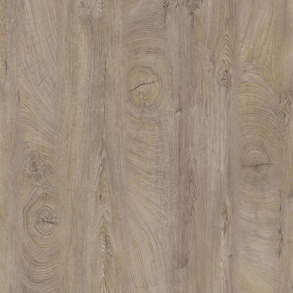 Dettaglio macro della finitura in rovere chiaro, che mostra le venature tattili e i nodi del legno bilaminato.