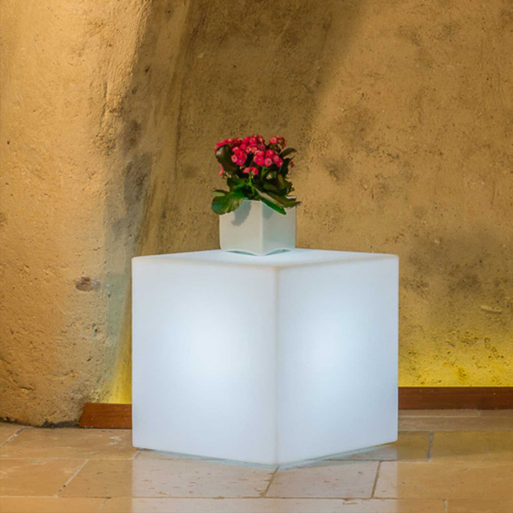 Cubo luminoso illuminato di bianco puro, utilizzato come piedistallo per una piccola pianta in vaso in un interno rustico.