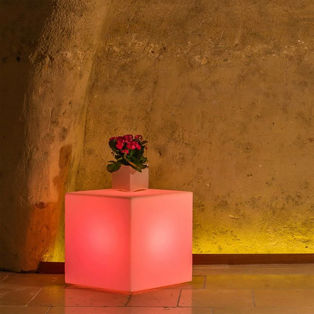 Cubo luminoso illuminato di rosso caldo, utilizzato come piedistallo per una piccola pianta in vaso in un interno rustico.