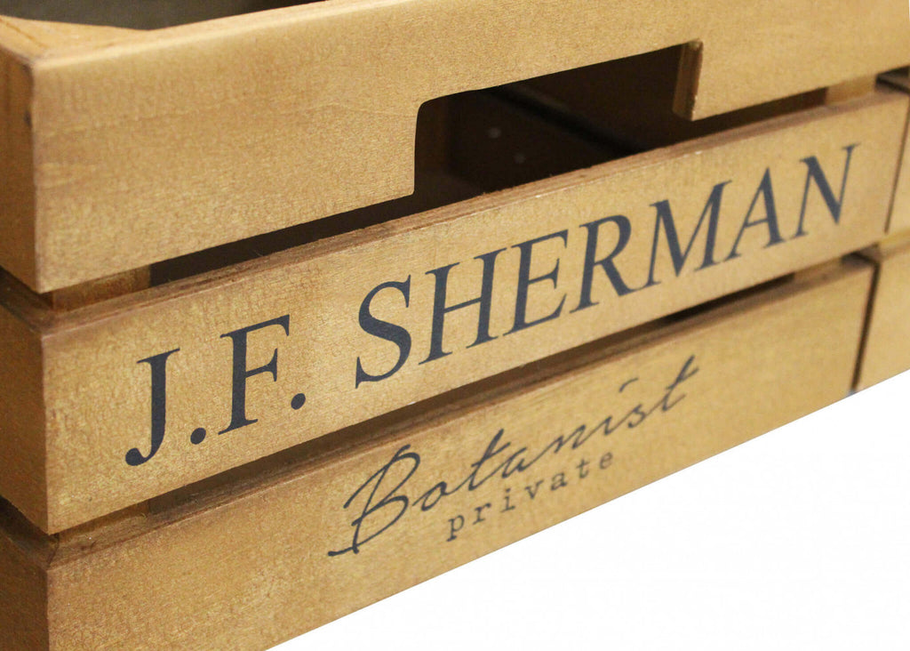 Dettaglio-Cassette-Mobile Carter porta TV moderno in legno e acciaio, ideale per il soggiorno | Albert Stock