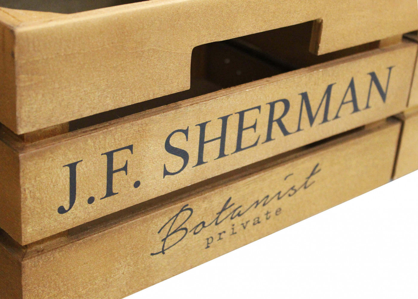 Dettaglio-Cassette-Mobile Carter porta TV moderno in legno e acciaio, ideale per il soggiorno | Albert Stock