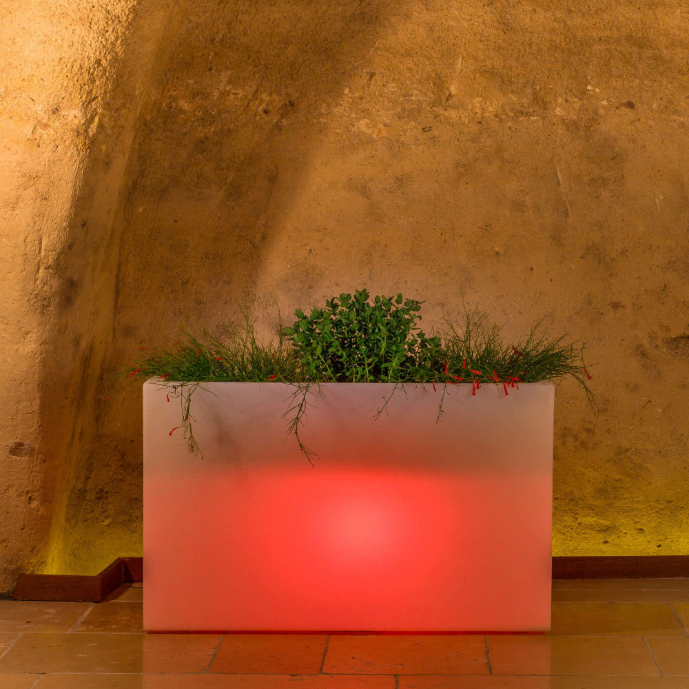 Dettaglio della fioriera Sculptor 50 illuminata di rosso intenso, che esalta la texture delle piante ornamentali sovrastanti.