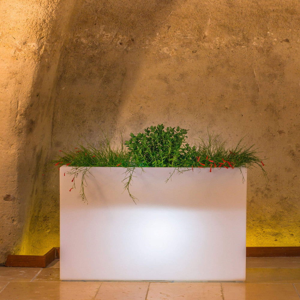 Fioriera Sculptor 50 accesa con luce bianca fredda, che illumina delicatamente l'ambiente circostante in una cantina storica.