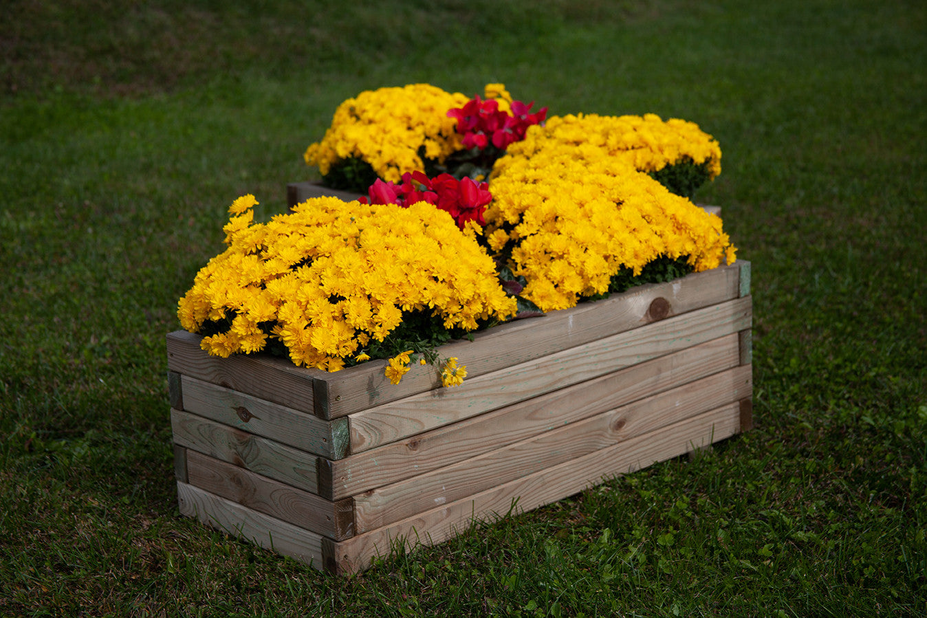 FIORIERA TULIPANO CM 90x40X32,5 H.