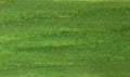IMPREGNANTE VERDE