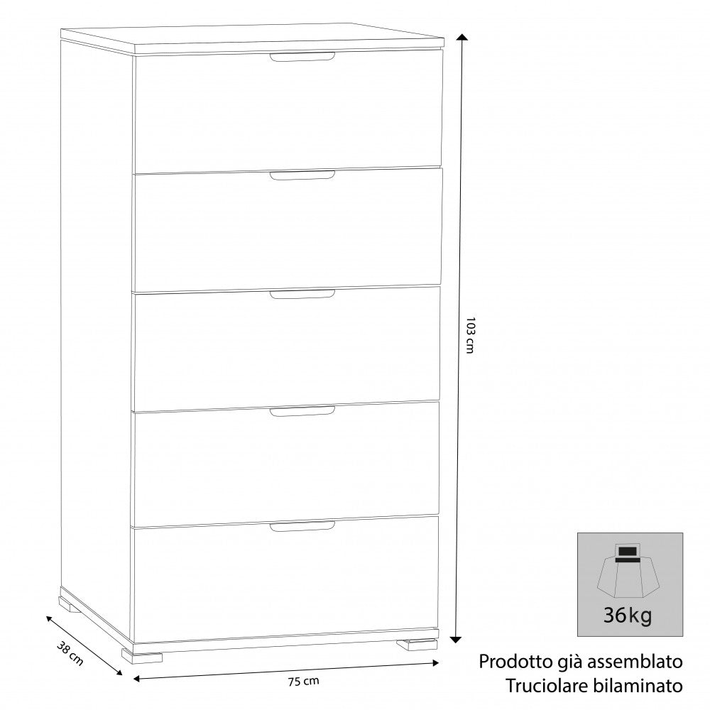 Disegno tecnico della cassettiera con indicazione delle dimensioni: 75 cm di larghezza, 38 cm di profondità, 103 cm di altezza e peso di 36 kg.