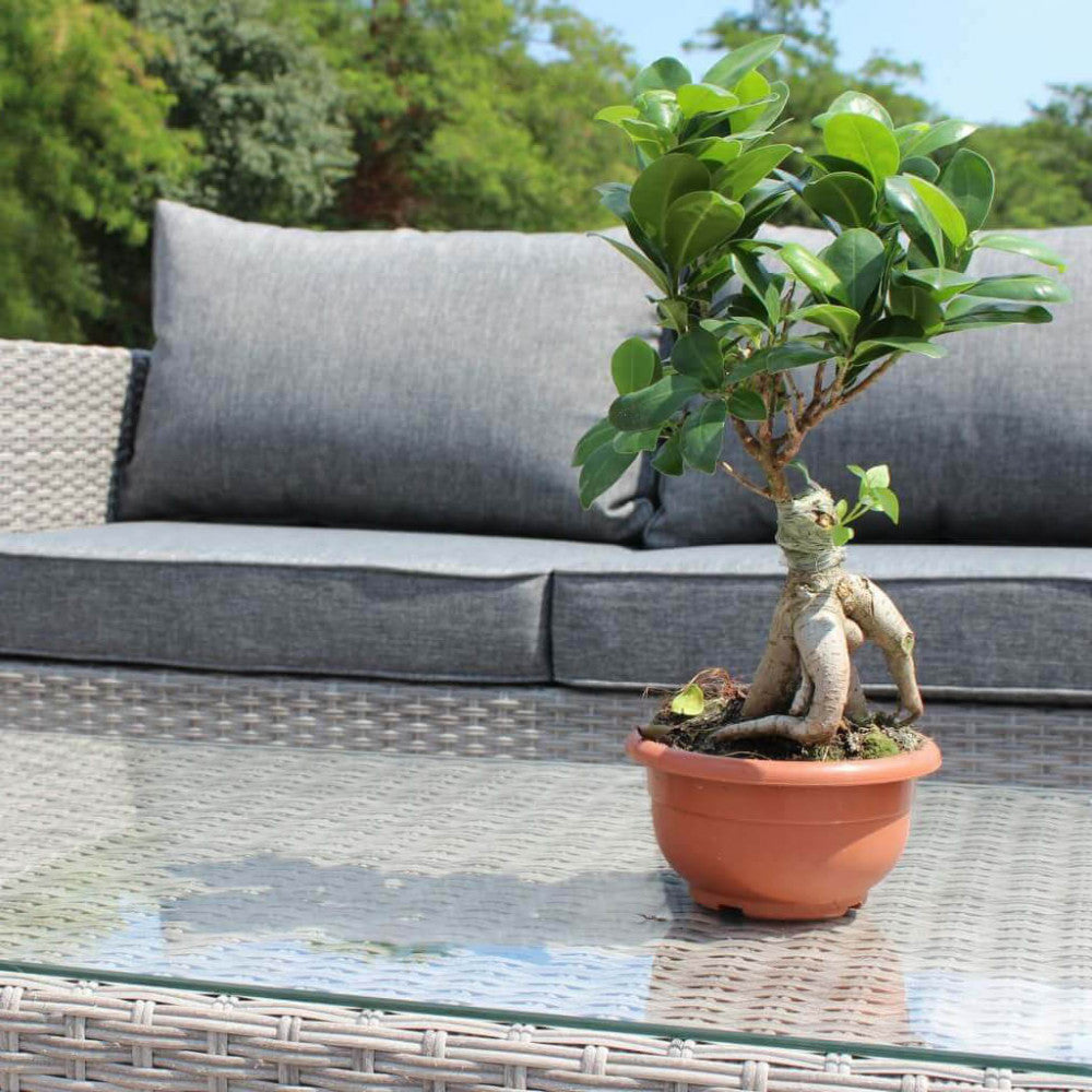 SALOTTO CILE 3 P C/CUSCINI