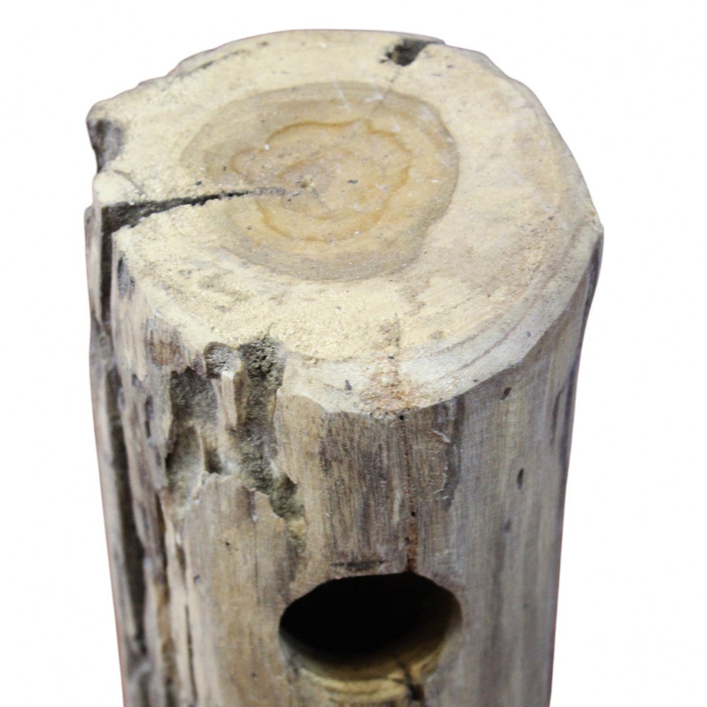 Dettaglio della sezione superiore del tronco in legno che mostra gli anelli di crescita e i fori per le bottiglie.