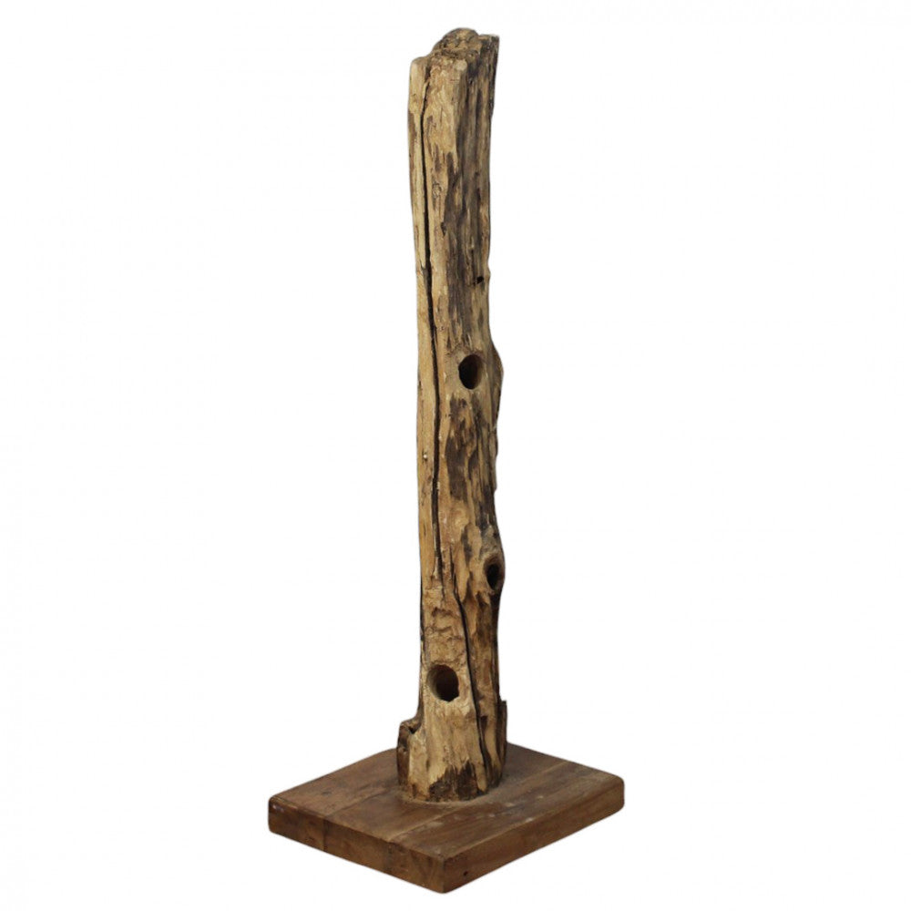 Vista frontale del porta bottiglie scultoreo Beatrix vuoto, che evidenzia le cavità naturali del legno e la base quadrata.