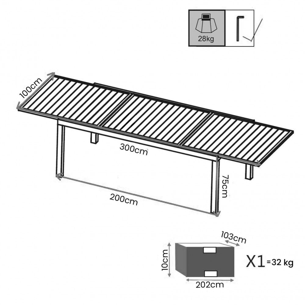 Schema Tecnico e Misure del Tavolo da giardino Formentera allungabile 200/300x100 cm in alluminio color antracite, ideale per grandi spazi esterni | Albert Stock