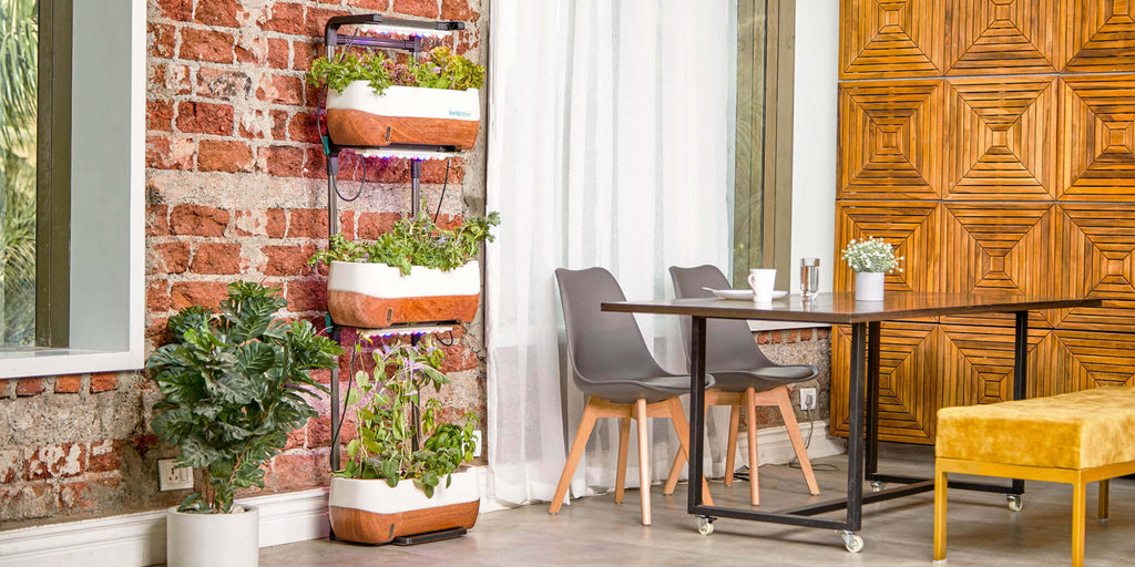 Coppia di Sedie Marsiglia grigie integrate in una sala da pranzo dal design industriale con giardino verticale.