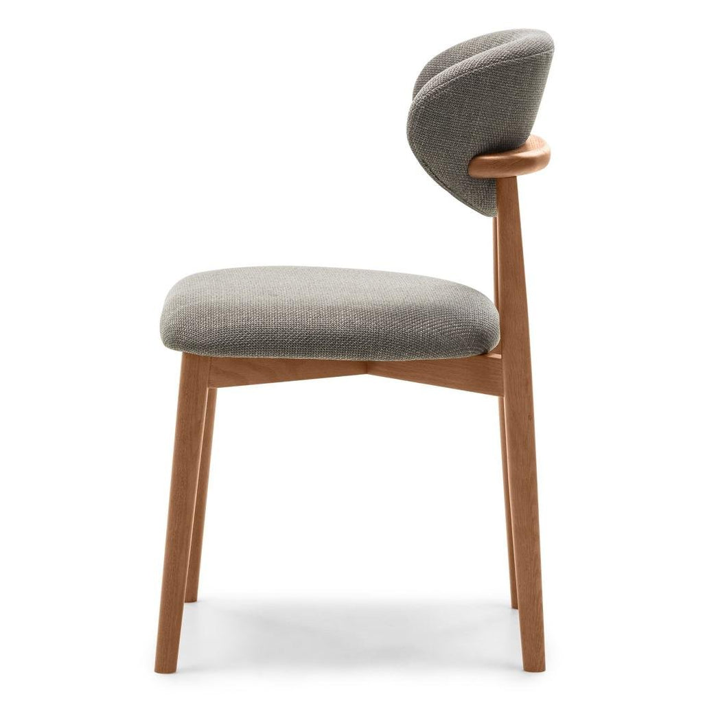Set da 2 sedie Mia grigio scuro con gambe in rovere noce - NN-MIA-UPH-CHA-WAL-198 - foto 6