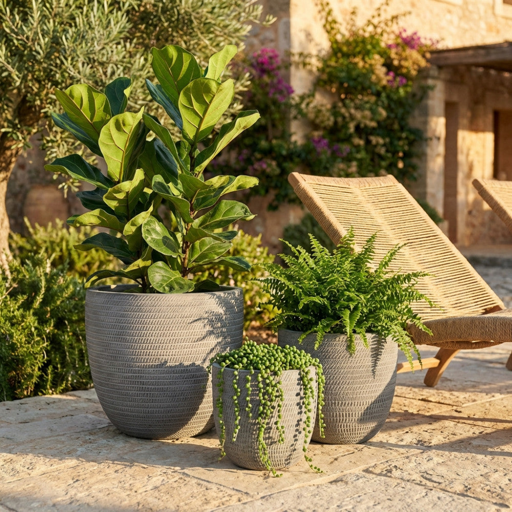 Set di 3 vasi Calla 2 in fibra di argilla grigia ambientati in un patio esterno con piante verdi rigogliose.