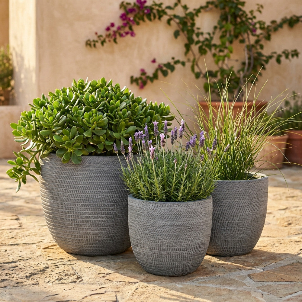 Dettaglio ravvicinato dei vasi Calla 2 grigi con texture intrecciata, decorati con lavanda e piante grasse.