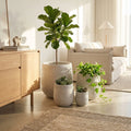 Set di quattro vasi Peonia in fibra sintetica beige disposti in un luminoso soggiorno minimalista, affiancati a una consolle in legno e un divano in tessuto chiaro.
