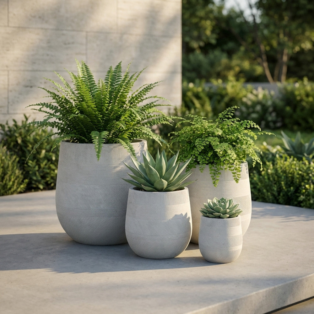 Composizione outdoor del set vasi Peonia beige su una pavimentazione in cemento, arricchiti da felci e piante grasse sotto la luce solare diretta.