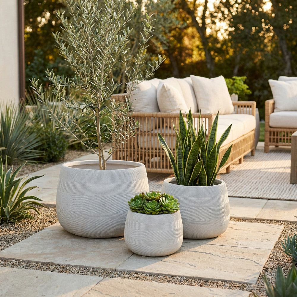 Composizione outdoor con il set di vasi Tulipano contenenti un piccolo ulivo e piante grasse, inseriti in un giardino lussuoso con divano in rattan sullo sfondo.