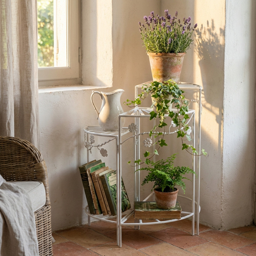 Étagère Cosma ambientata con piante e libri