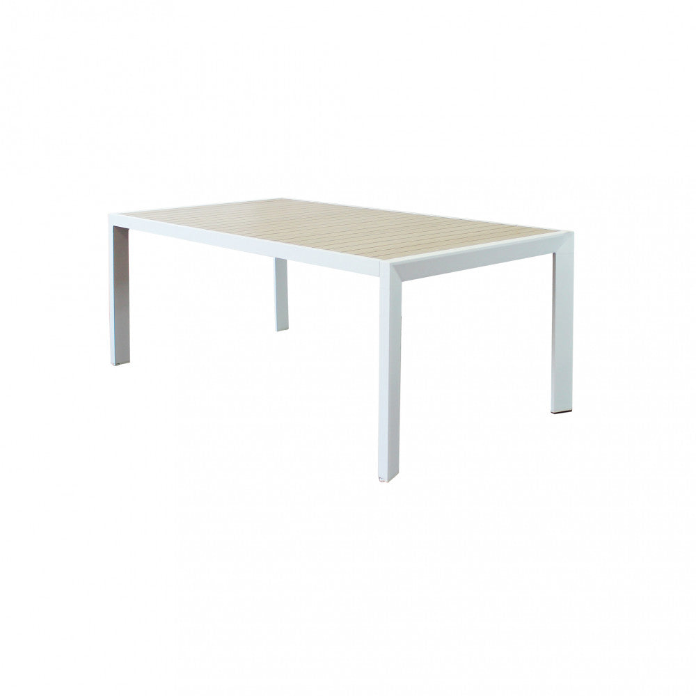 TAVOLO DETROIT ALLUNGABILE 190/250 X 100