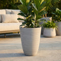 Vaso Grande Anemone in fibra sintetica antracite con un Ficus Lyrata su un patio esterno soleggiato accanto a un divano beige.