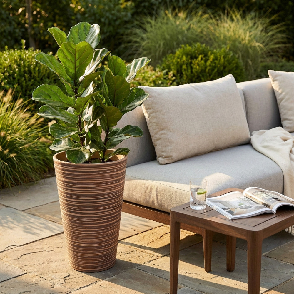 Vaso Grande Azalea con pianta di Ficus Lyrata, posizionato su una terrazza in pietra vicino a un divano dal design contemporaneo.