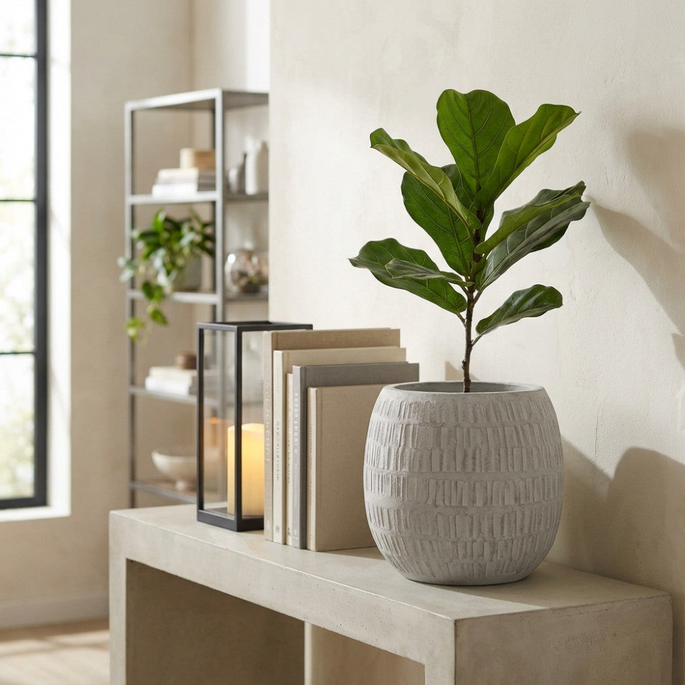 Vaso Grande Betulla in fibra sintetica grigia con pianta verde decorativa posizionato su una consolle in cemento.