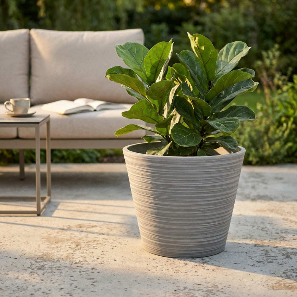 Vaso Camelia in fibra sintetica antracite posizionato su una terrazza in cemento, arricchito da una rigogliosa pianta a foglie larghe, accanto a un divano outdoor.