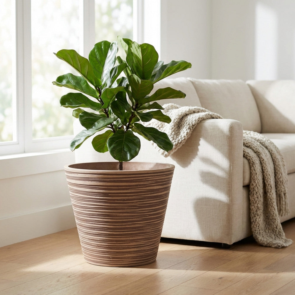 Vaso Grande Camelia in fibra sintetica taupe posizionato in un luminoso soggiorno accanto a un divano chiaro.