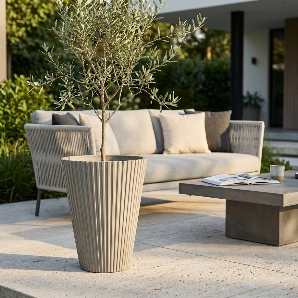 Vaso Grande Iris in fibra sintetica antracite con ulivo su patio in pietra chiara.