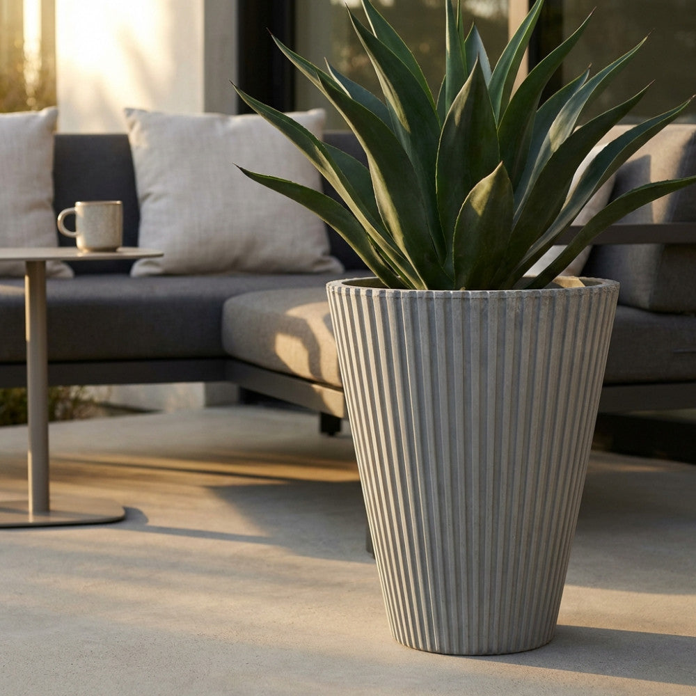 Dettaglio del Vaso Grande Iris antracite con pianta di agave illuminata dal sole.