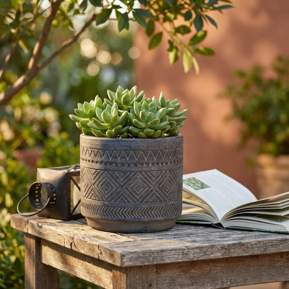 Vaso Melissa color antracite con pianta succulenta su un tavolo in legno rustico, affiancato da un libro aperto e una lanterna.