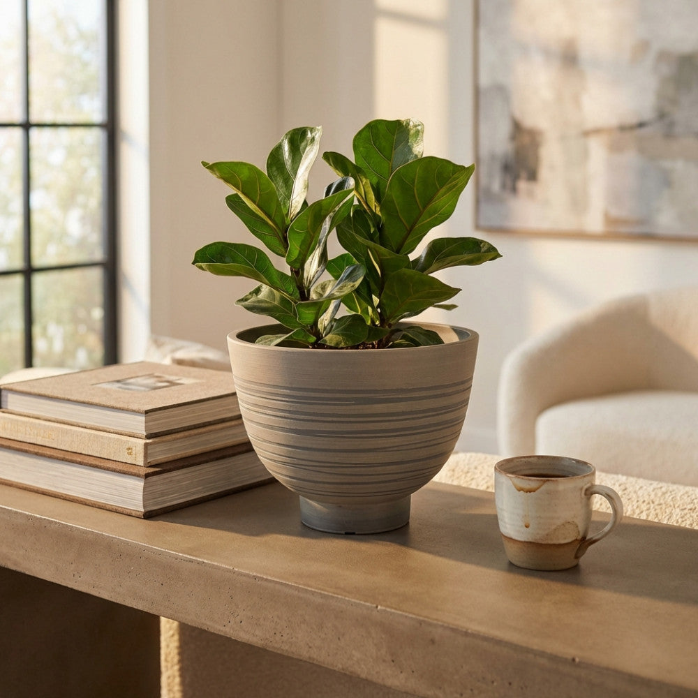 Dettaglio del Vaso Narciso antracite con pianta verde da interno, ambientato in un salotto luminoso dal design contemporaneo.