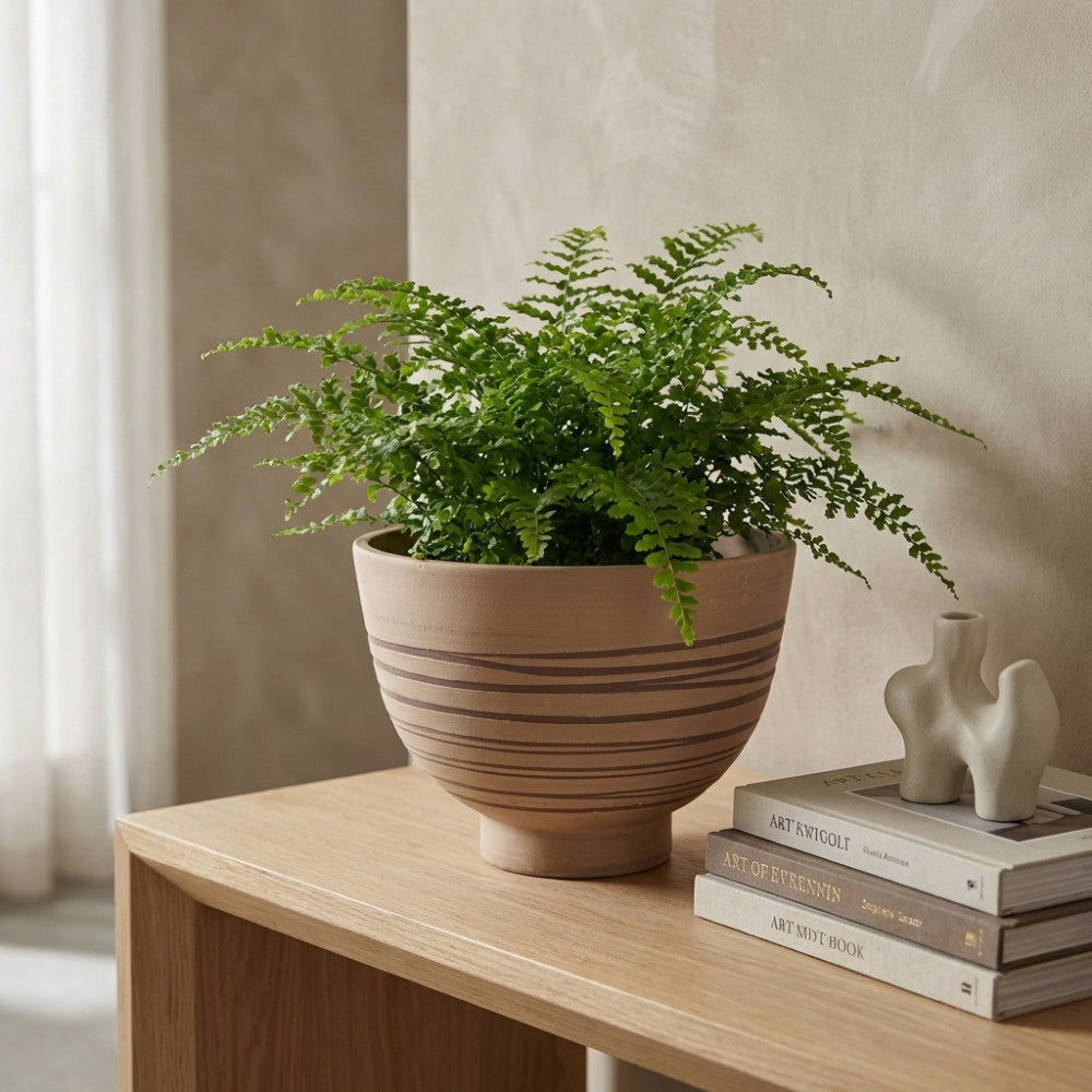 Vaso scultoreo Narciso con striature orizzontali, ospita una felce verde brillante su un mobile in legno accanto a libri d'arte e sculture minimaliste.