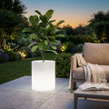 Vaso luminoso cilindrico bianco acceso in un giardino al tramonto con pianta a foglia larga.