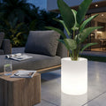 Vaso luminoso cilindrico in polipropilene bianco con pianta tropicale su patio moderno al crepuscolo.