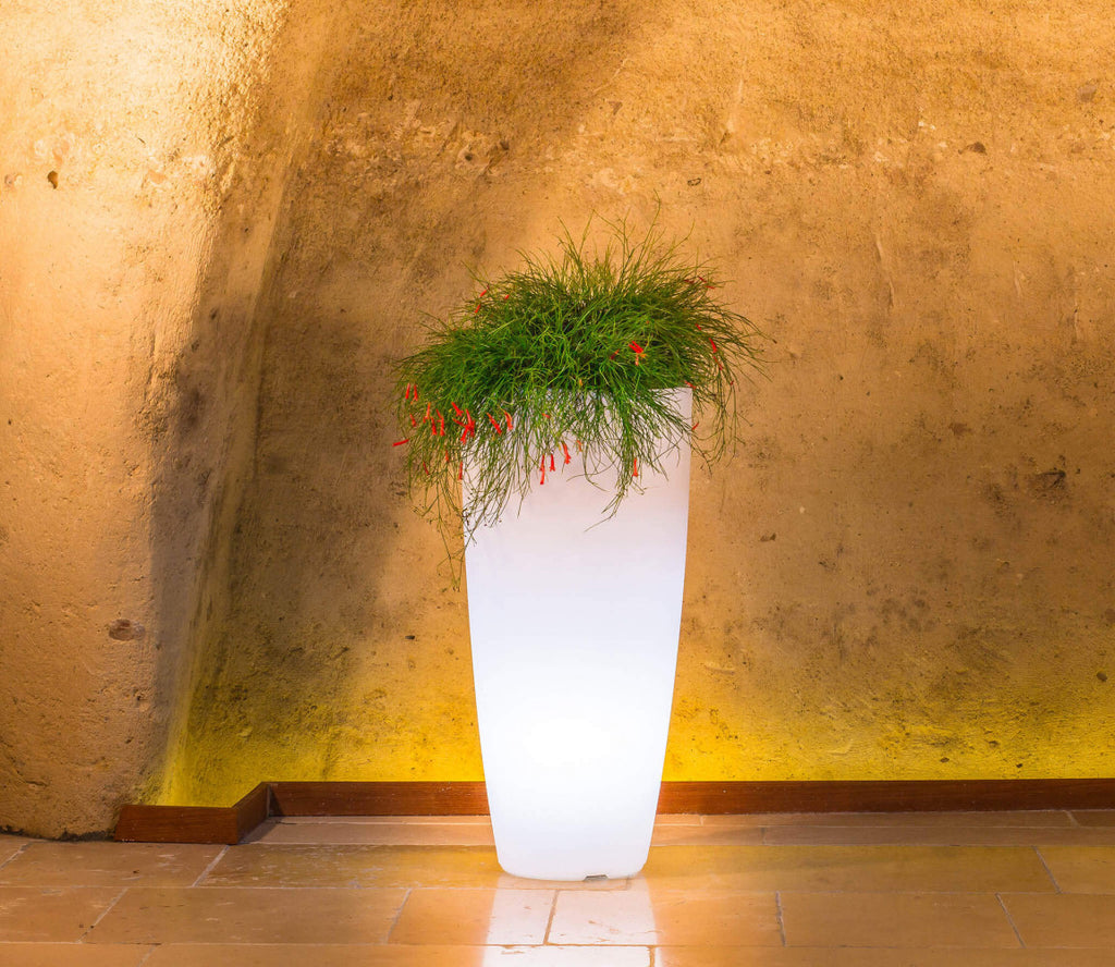 Vaso luminoso con LED bianco caldo, che esalta le piante decorative all'interno di una nicchia in pietra.