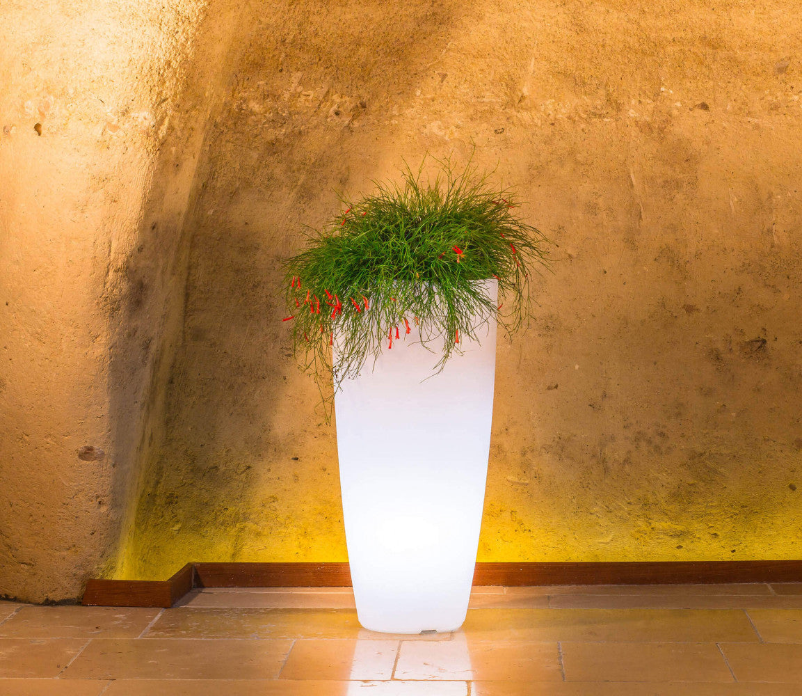 Vaso luminoso con LED bianco caldo, che esalta le piante decorative all'interno di una nicchia in pietra.