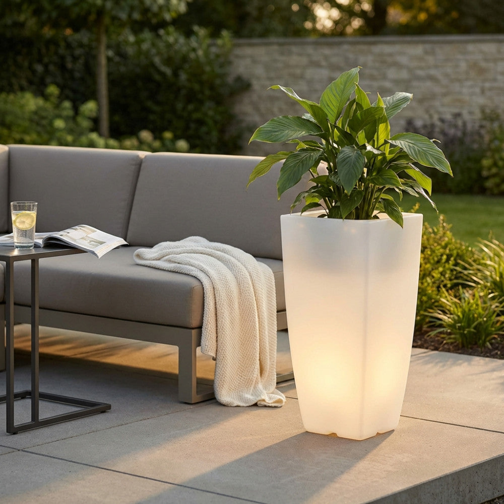 Vaso luminoso da esterno con pianta a foglie larghe, situato vicino a un divano grigio chiaro durante la golden hour.