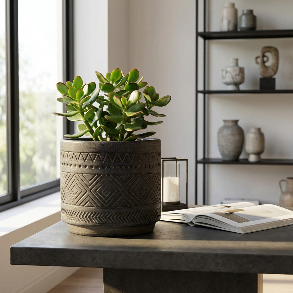 Vaso Melissa antracite in fibra sintetica con pianta verde, posizionato su un tavolo in cemento in un soggiorno luminoso.
