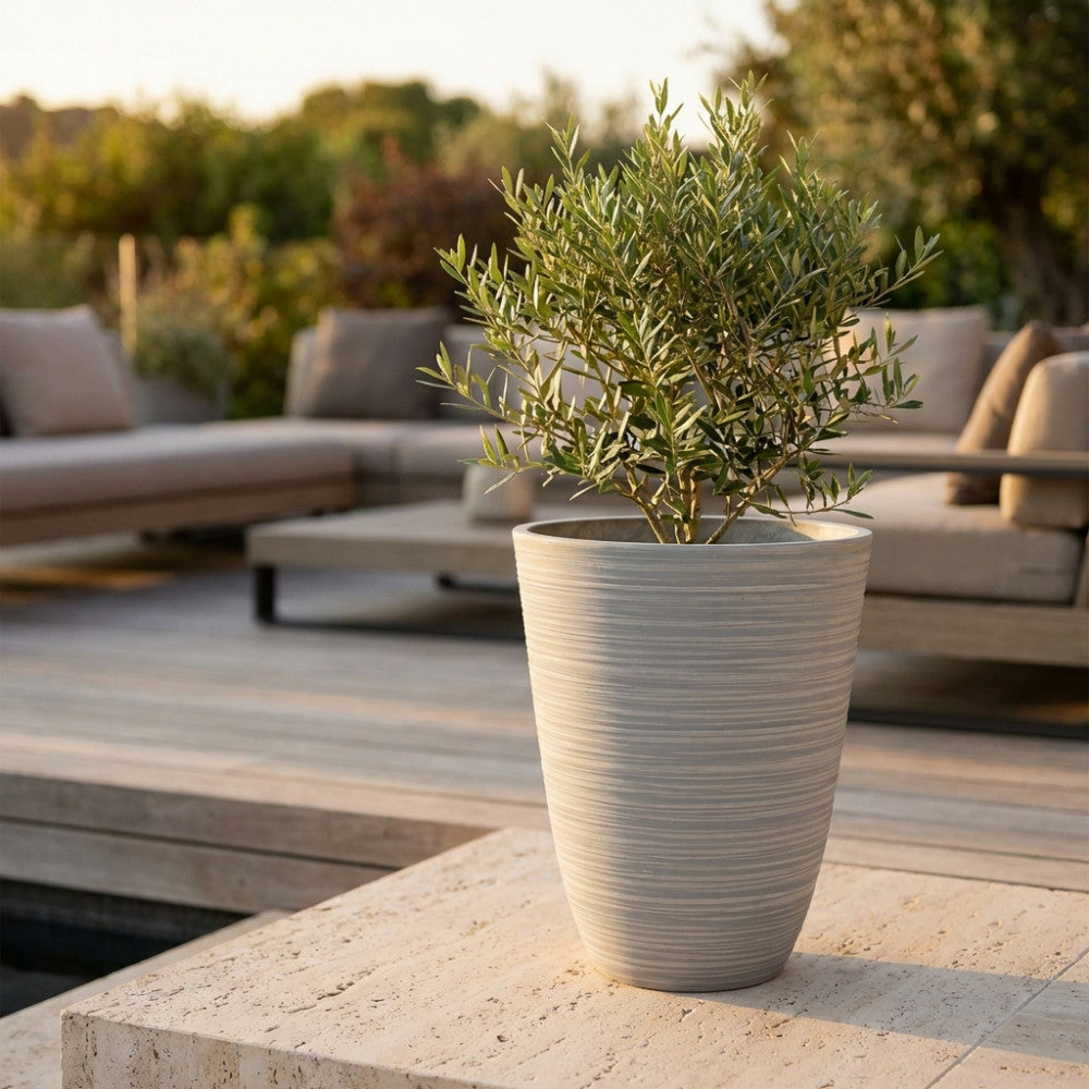 Vaso Medio Anemone in fibra sintetica antracite con pianta di ulivo su terrazza in legno.