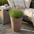 Vaso Anemone in fibra sintetica color taupe con lavanda in fiore, posizionato su un patio in pietra accanto a un divano in rattan.