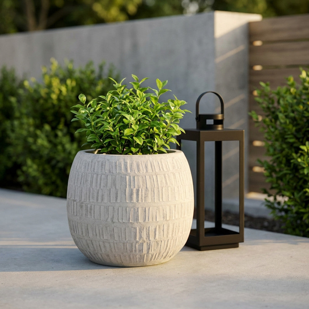Vaso decorativo grigio con texture in rilievo, ospita una pianta verde brillante su una pavimentazione in cemento vicino a una lanterna nera.