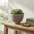 Vaso Narciso in fibra sintetica antracite con striature orizzontali, posizionato su un tavolo in legno rustico con piante succulente all'interno.