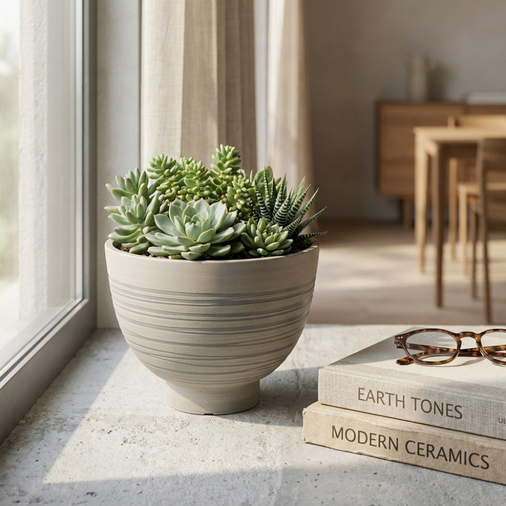 Vaso Narciso antracite decorato con linee orizzontali, esposto su un davanzale in pietra illuminato dalla luce naturale, contenente una composizione di piante grasse.