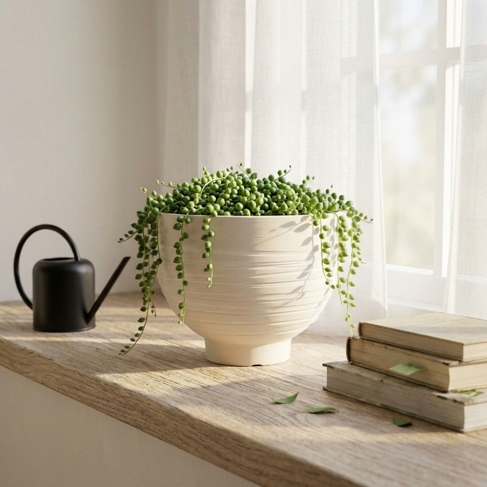 Vaso Narciso bianco in fibra sintetica posizionato su una mensola in legno vicino a una finestra, arricchito da una pianta a cascata e un annaffiatoio nero.