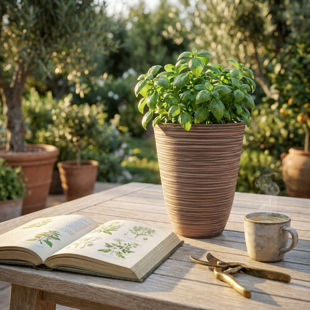 Vaso Piccolo Anemone in fibra sintetica taupe con pianta di basilico su tavolo in legno all'aperto.