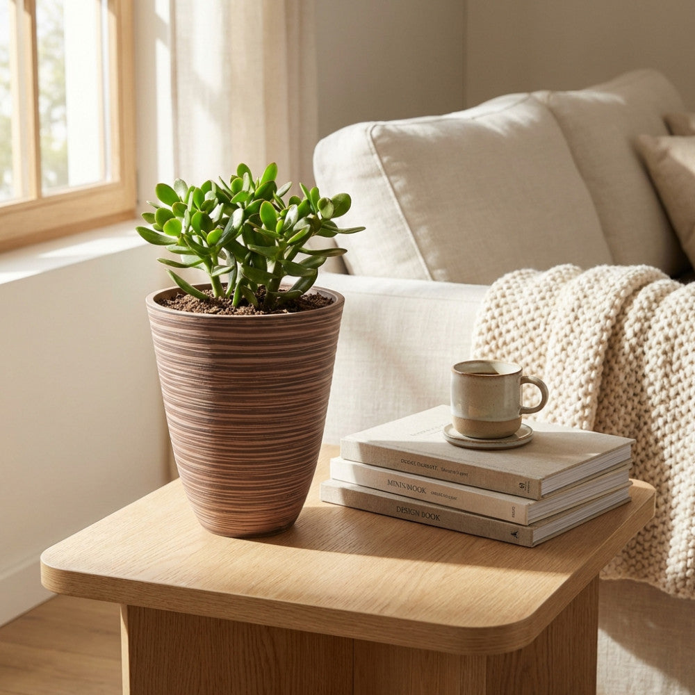 Vaso Piccolo Anemone color taupe con pianta succulenta su tavolino in legno in un salotto luminoso.